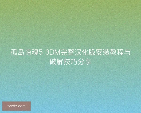 孤岛惊魂5 3DM完整汉化版安装教程与破解技巧分享