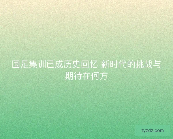 国足集训已成历史回忆 新时代的挑战与期待在何方