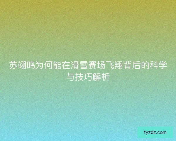 苏翊鸣为何能在滑雪赛场飞翔背后的科学与技巧解析